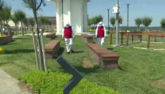 Kene Görülme Sıklığında Artış: Halka Açık Alanlarda Acil Ilaçlama Gerekliği