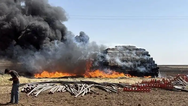 Mardin'deki Anız Yangınları: Tarım Alanları ve Ekonomi Üzerindeki Etkileri