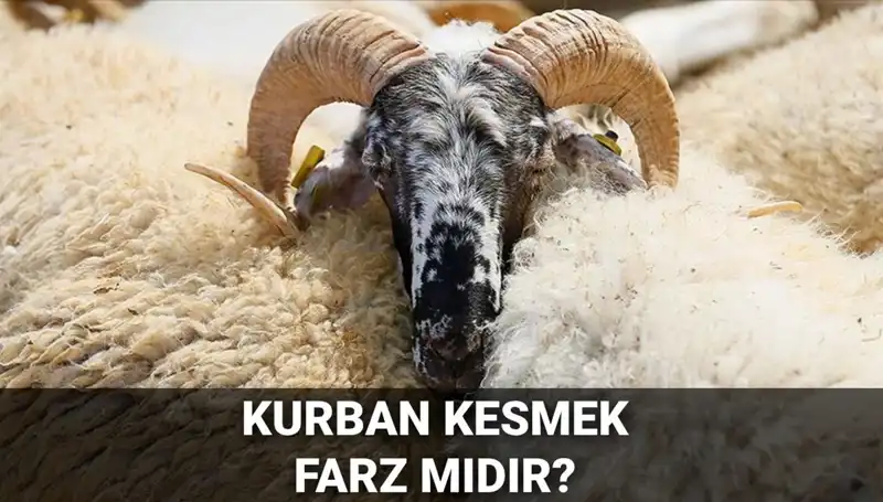Kurban Kesmek Farz Mı? Diyanet'ten Güncel Değerlendirme ve Şartları