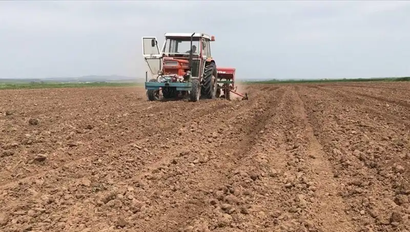 2023 Mart Ayı: 35 Yılın En Kurak Dönemi ve Yağış Azalması