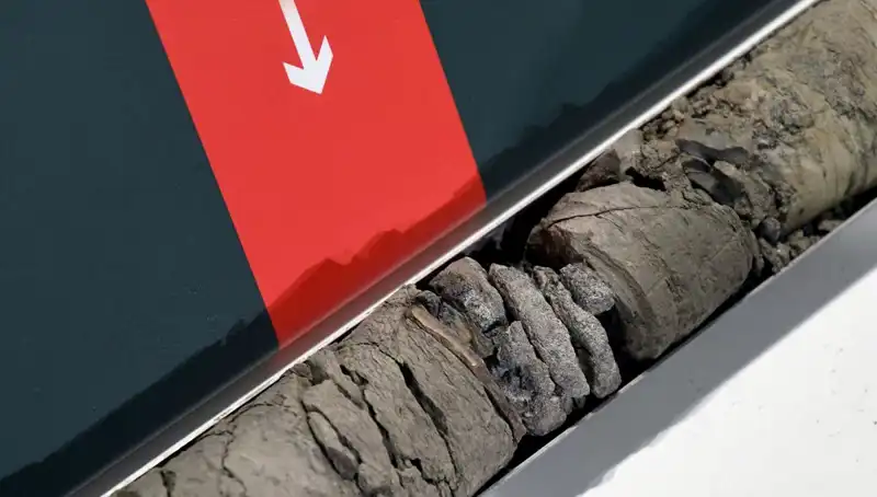 Müze Otoparkında Bulunan Dinozor Fosili, Bilim Dünyasında Heyecan Yarattı