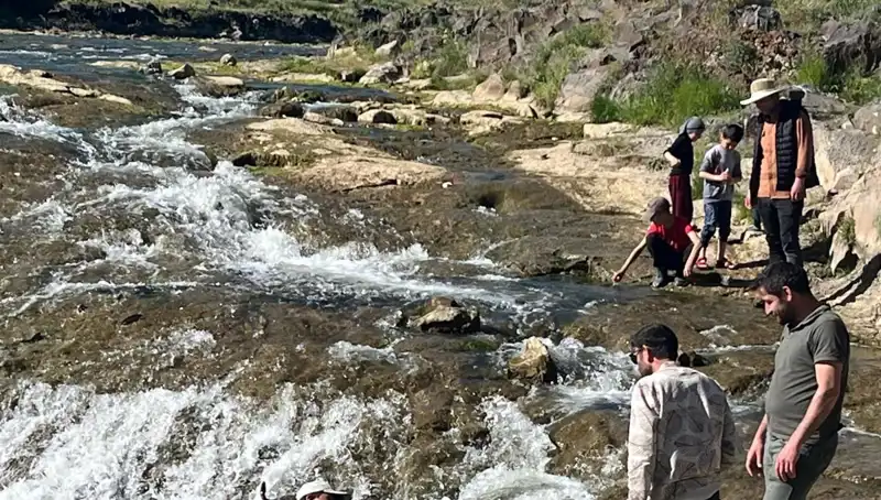 İnci Kefali Göçü: Doğanın Muazzam Gösterisi ve Turizme Etkisi