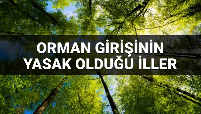Türkiye'de Ormana Girmek Yasaklanan İller: 2025 Güncel Liste