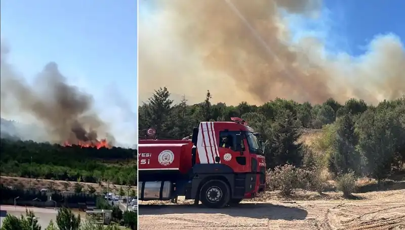 Gebze'deki Orman Yangını: Tahrip Edilen Alanlar ve İtfaiye Mücadelesi