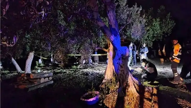 Çiftlikteki Baltalı Vahşet: Olayın Ardındaki Karanlık Gerçekler Ortaya Çıktı