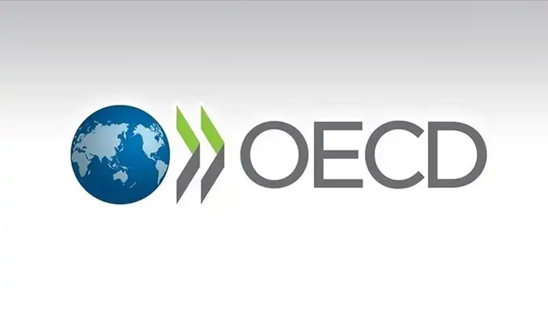 OECD'nin Türkiye İçin Büyüme Tahminleri: Ekonomik Beklentiler ve Stratejiler