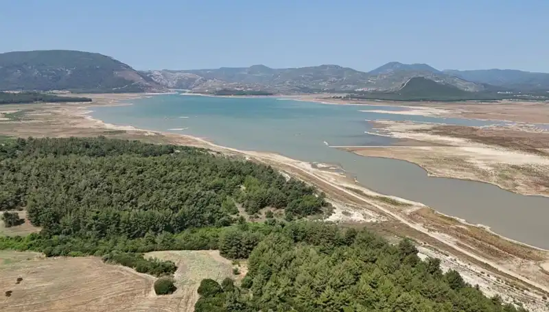 İzmir'de Tehlike Çanları: Geçen Yıla Göre Yüzde 50 Düşüş Gerçekleşti!