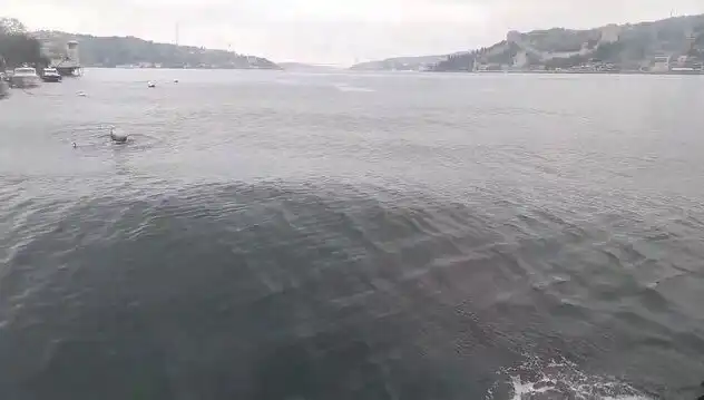 İstanbul Boğazı’nda Dalgaların Yükselmesi: Neler Oluyor?