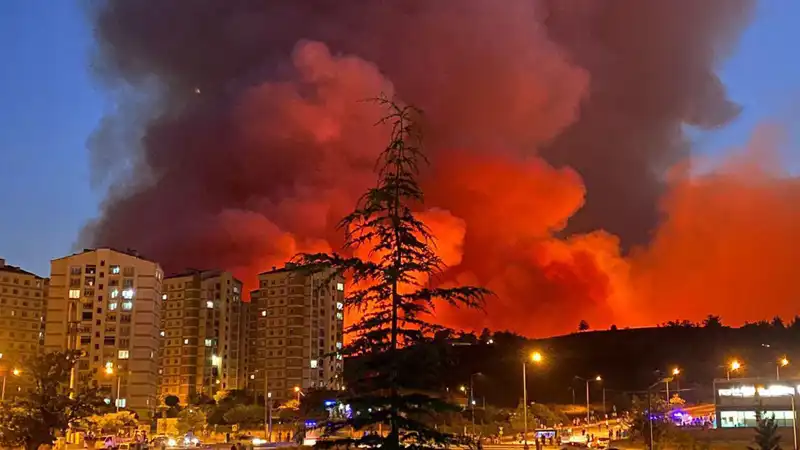 Bursa'da Yangın İle Mücadele: Şehir Alev Alev!