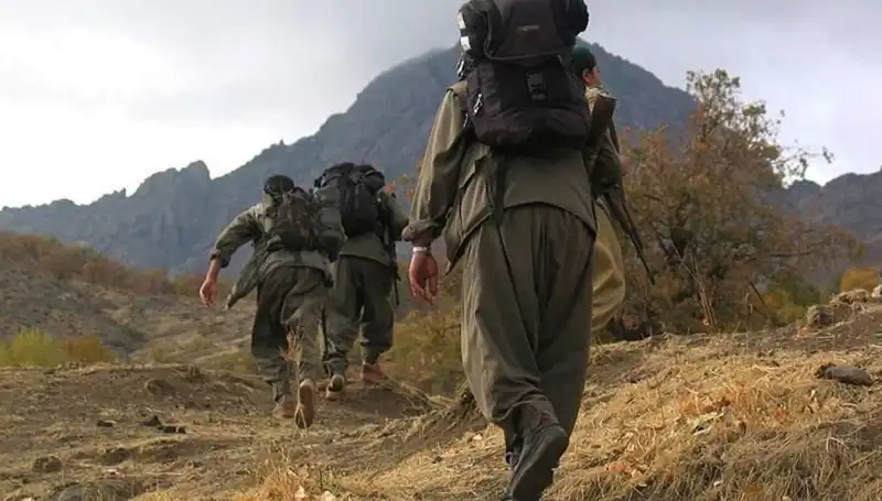 Terörsüz Türkiye'de Tarihi An: Öcalan'ın Mesajı Kandil'e Ulaşacak
