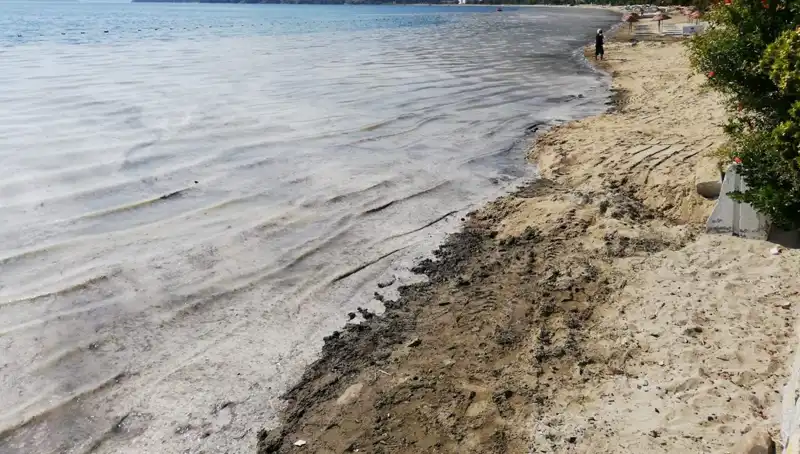 Müsilajla Mücadelede Çarpıcı Adım: 268 İşletme Kapatıldı