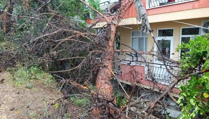 Yağmura Daha Fazla Dayanamadı: Bina Aniden Devrildi
